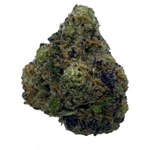 Jack Herer (SAT)